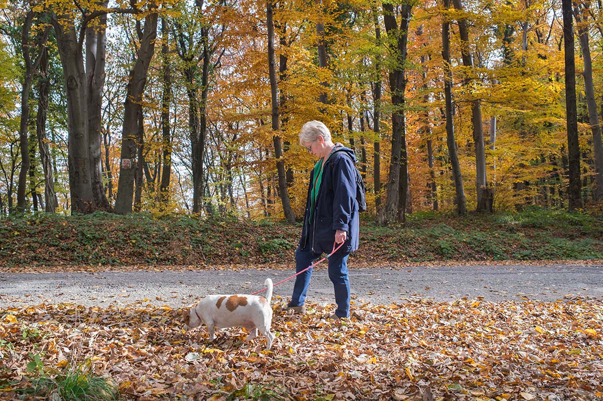 A senior waman enjoys a walk on the park with her dog