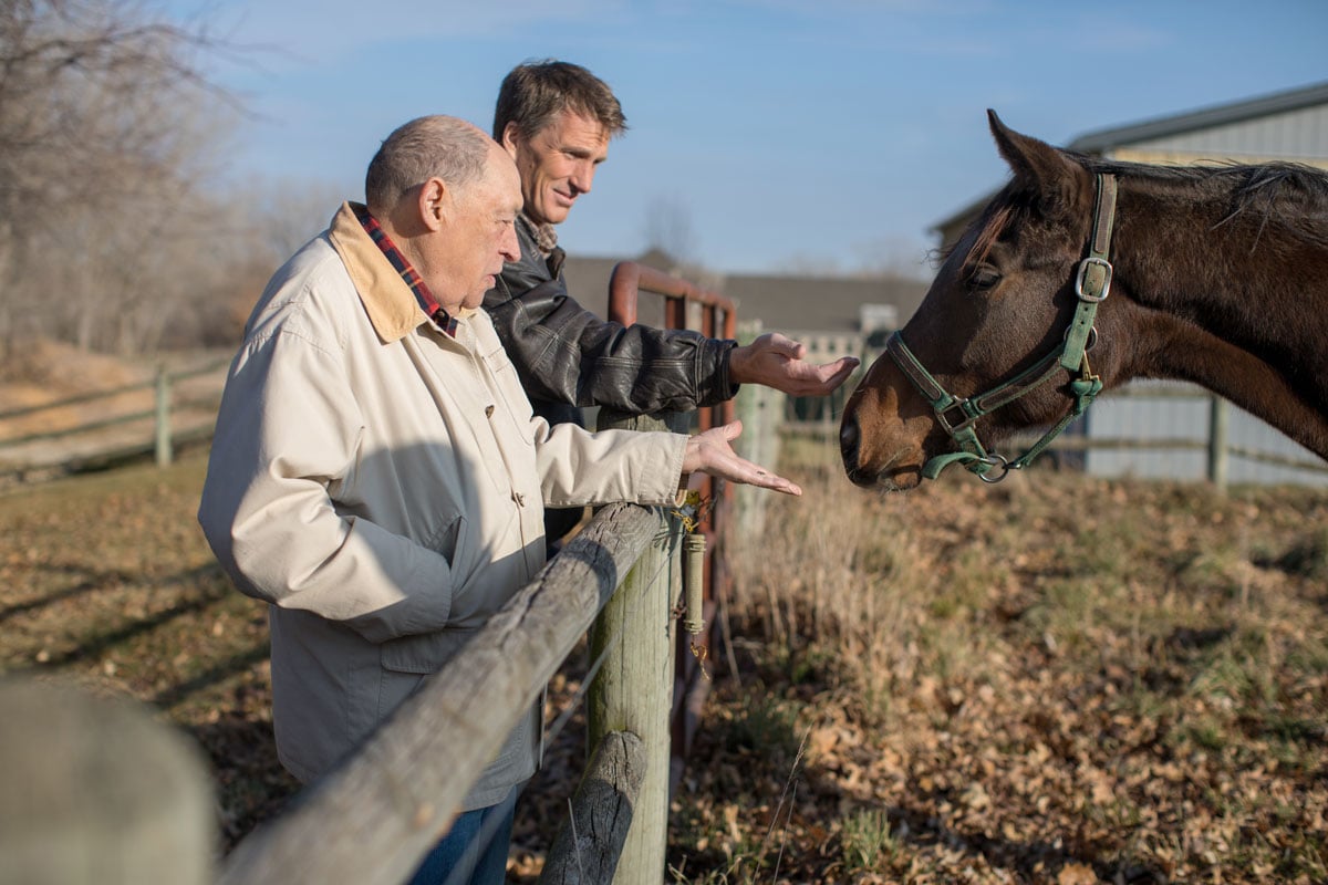 Senior man and son on a farm pet horse over fence